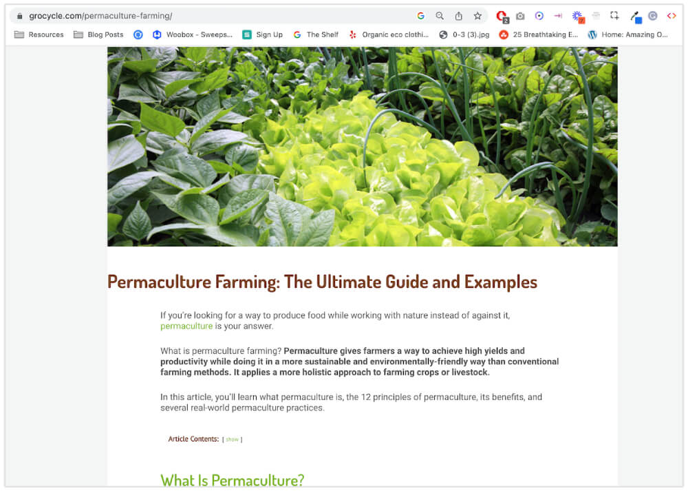 Exemplo do que é postagem